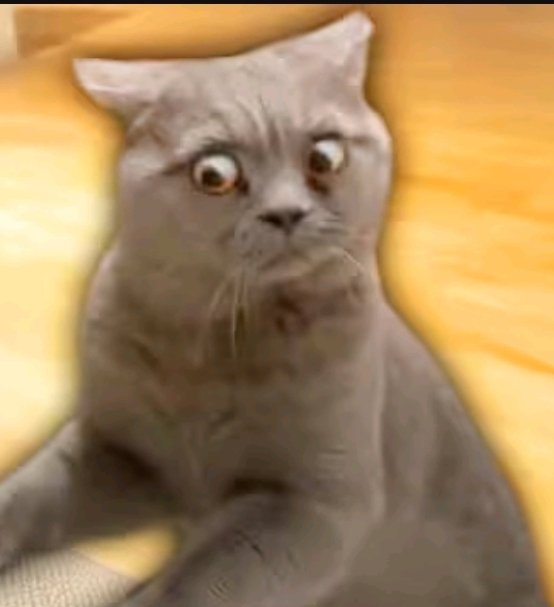 Letupita124 ( OPEN COMMISSION 0/5 ) tweet media