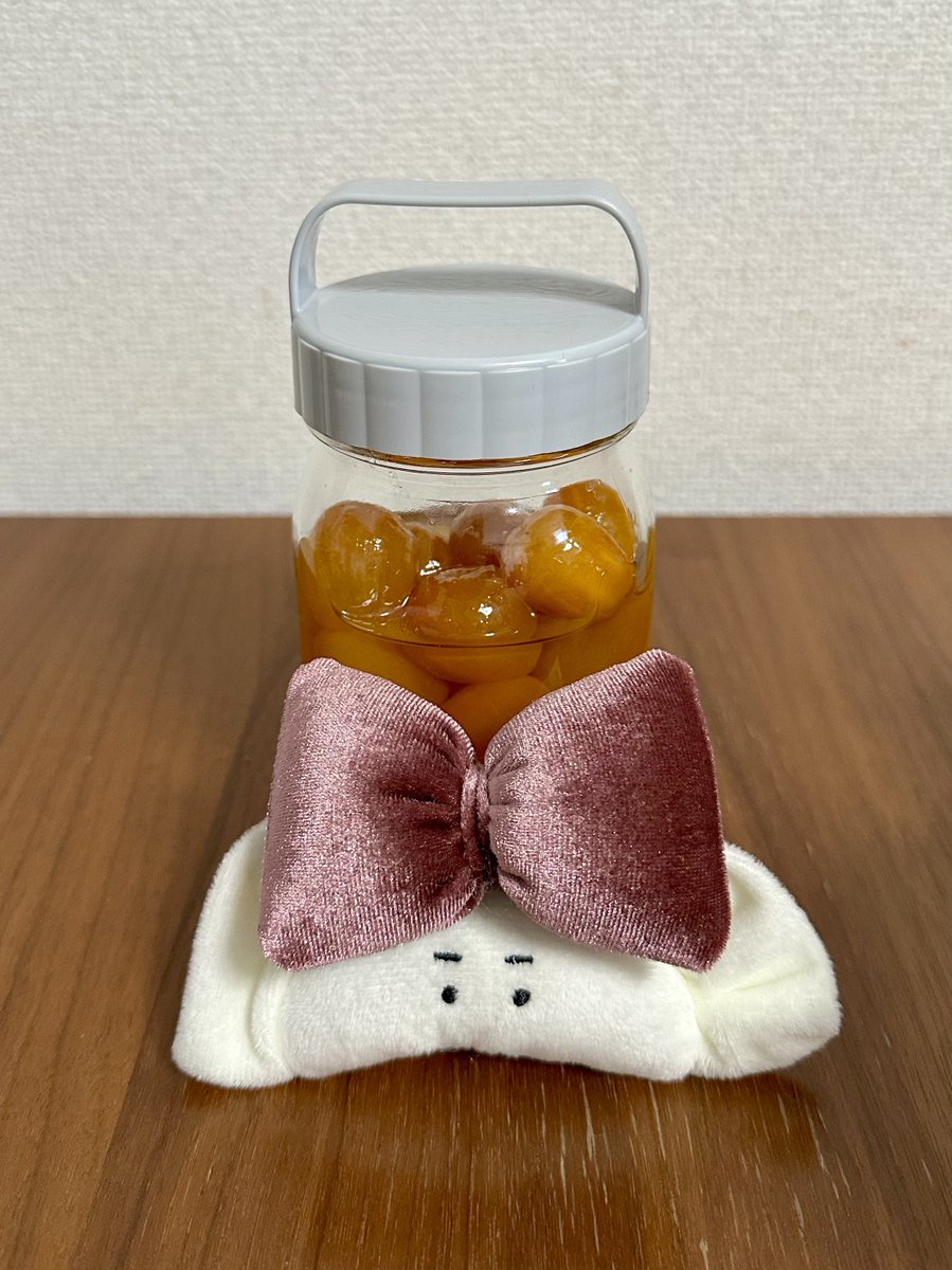 少し前に作ったら美味しかったから、金柑の甘露煮をまた作ったわよギョザちゃん！パンダのワッペンが上手く剥がれなくて、慌てて隠れるサイズのリボンを買ったけど落ち着いてやったらちゃんと剥がれてホッとしたね。あと心なしか薄汚れてきたわね。お他所に洗われたギョザちゃんはいますか？ #ギョザ活