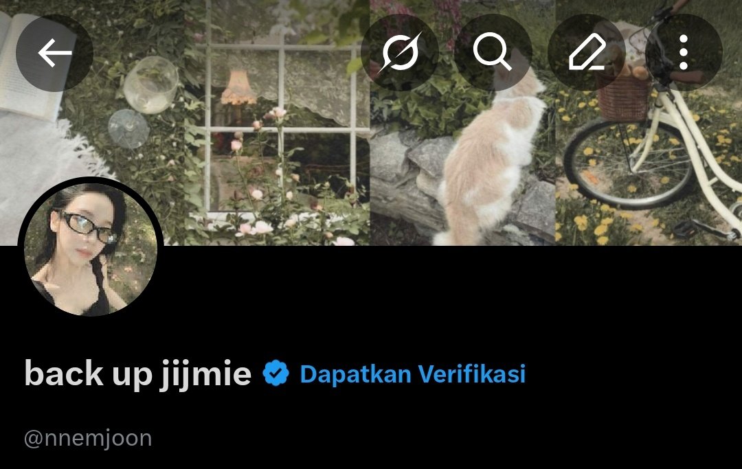 sheA? ⭐️ tweet media