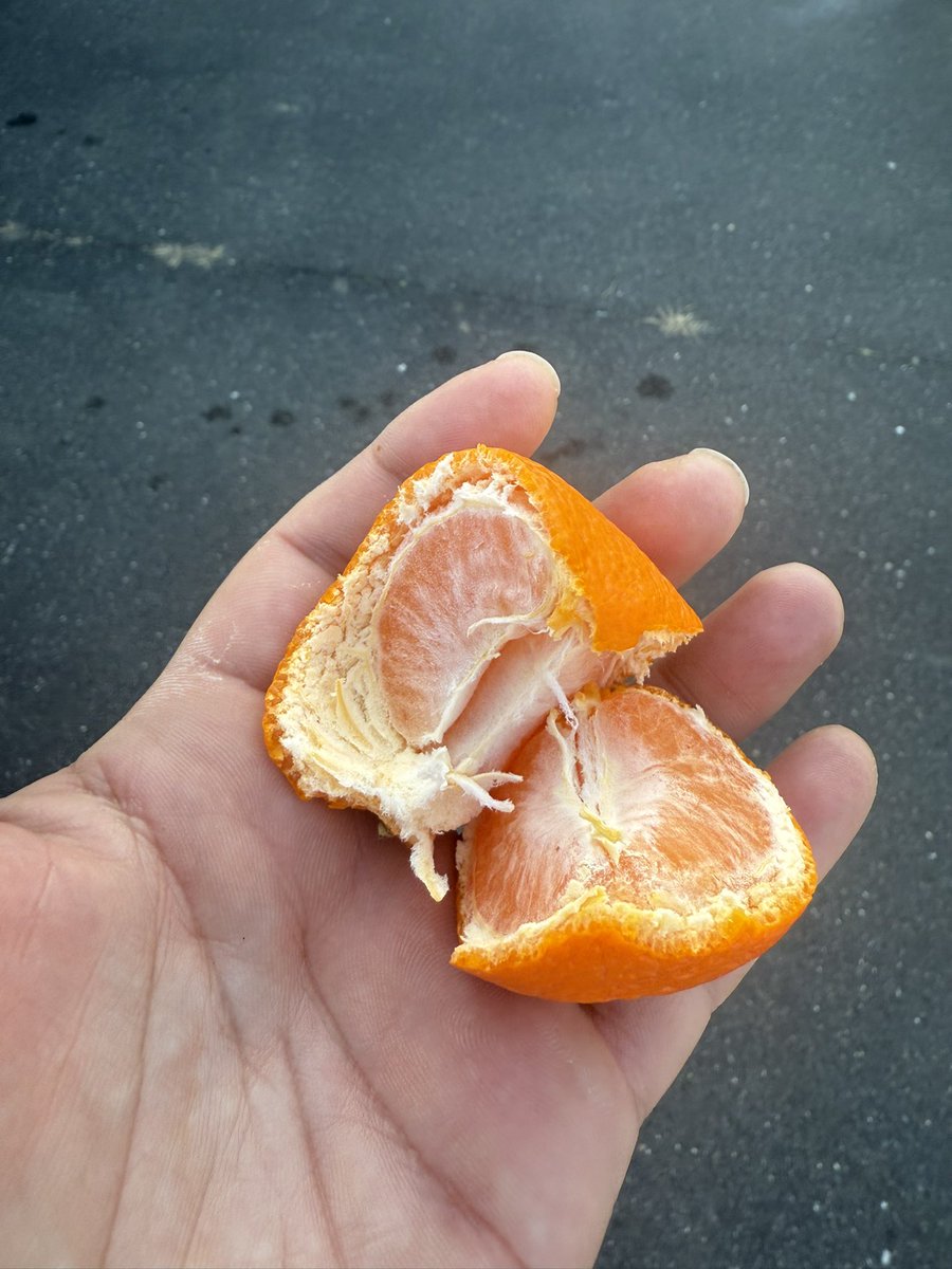 三ヶ日みかん美味しすぎておかわり🤣🤣🤣 #三ヶ日みかん