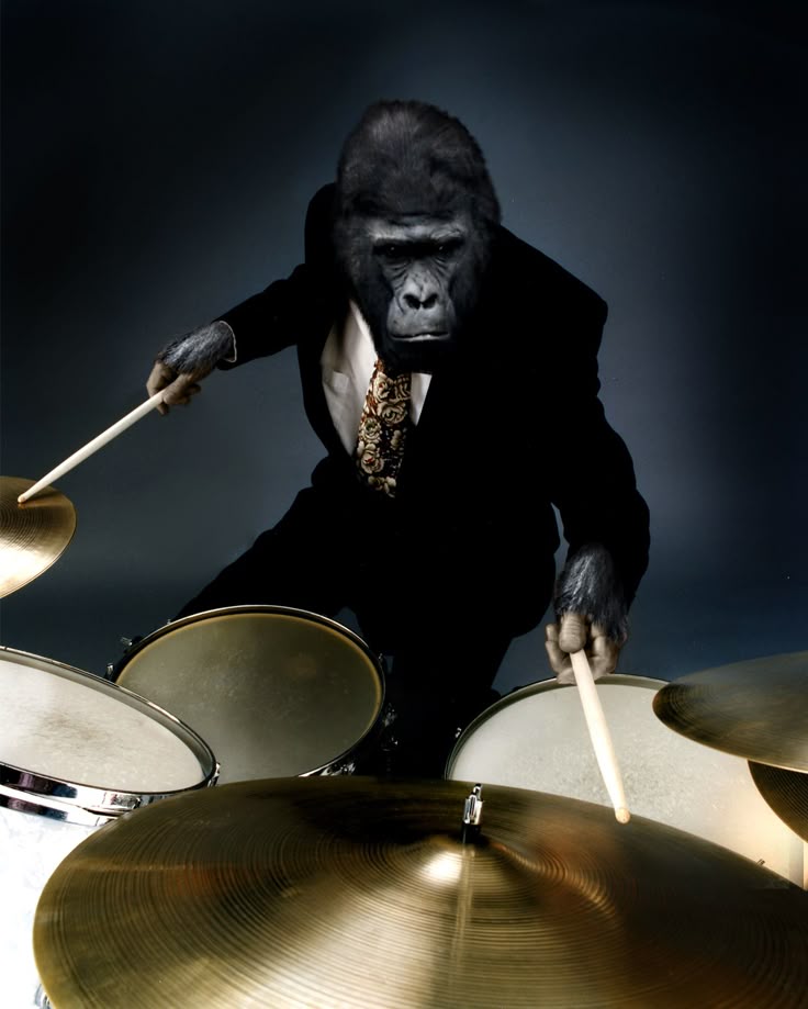 eco (edie) tweet media