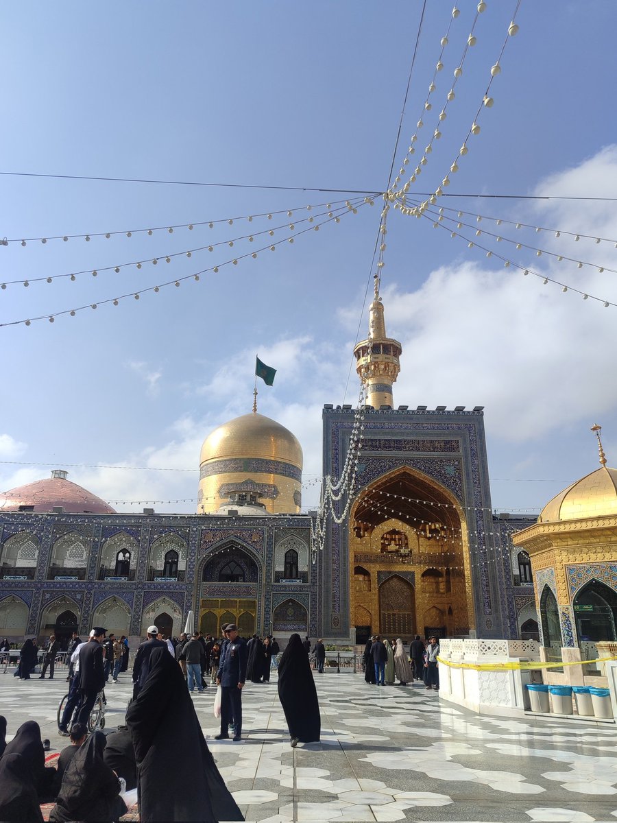 فاطمهسیما ذوالفقار tweet media