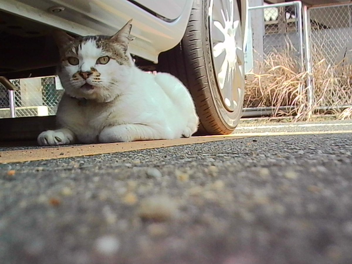 今日撮ったの。
📷Kodak Charmera  Kodak  トイデジ