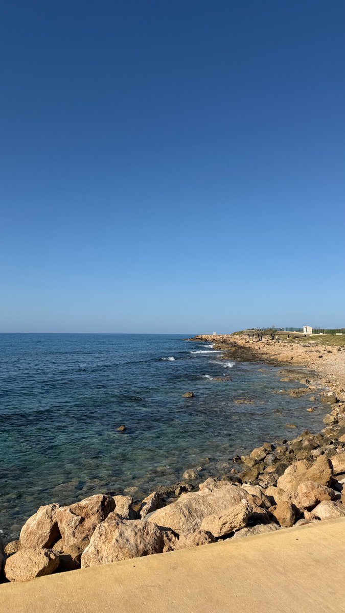 Fit_Phil_B tweet media