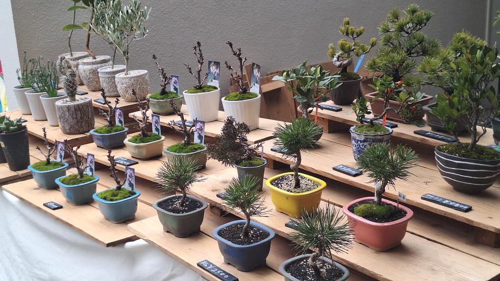 Connect929 TOKAI RADIO tweet media