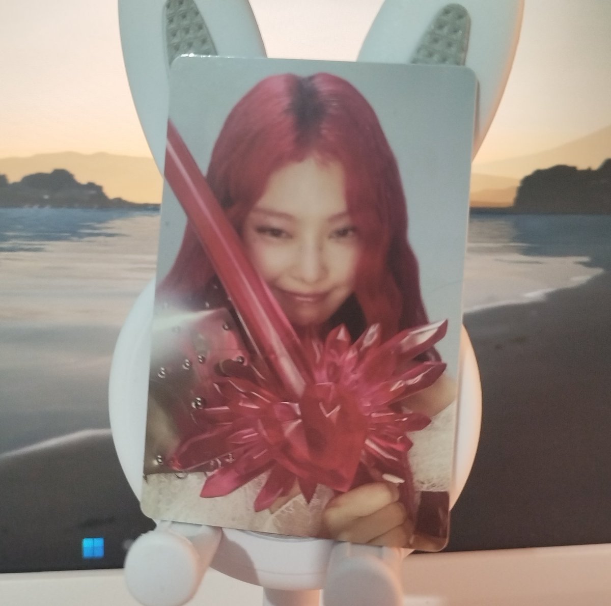 𝐃𝐨𝐥𝐩𝐡𝐢𝐧 tweet media