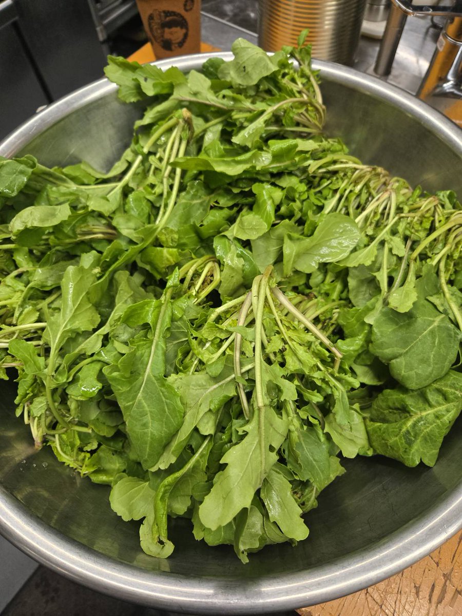 都内で
小料理屋さんをやってて
#横ノリ　#横山典弘
#横山典弘騎手　
の熱狂的なファンの女将
さんが先日ご来店され
目が覚める様な美味しさ
今まで食べた中で
1番美味しいお料理だったと
絶賛され
畑で作っている
ルッコラをたくさん
送ってきてくれました✨
有難うございました🙇
#聖地巡礼