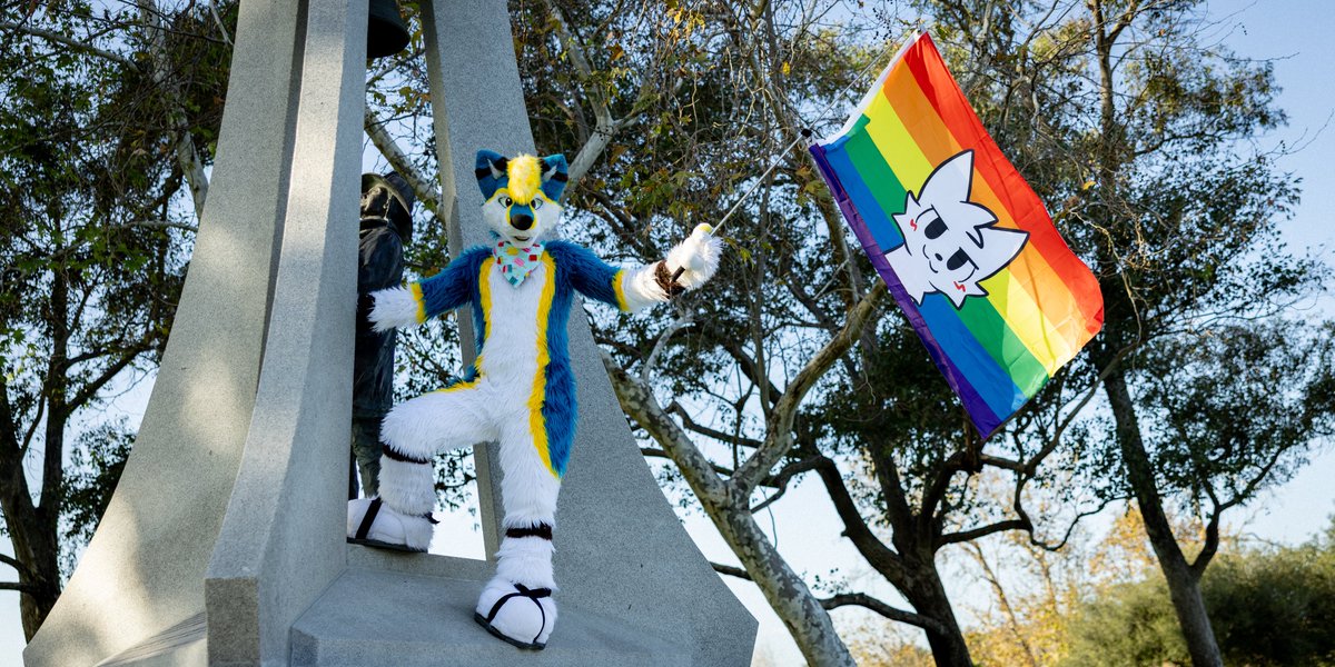 Danno 🔜 LVFC, AC tweet media