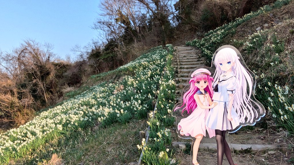 ヘ゜）ノ (@pe36) / Posts / X