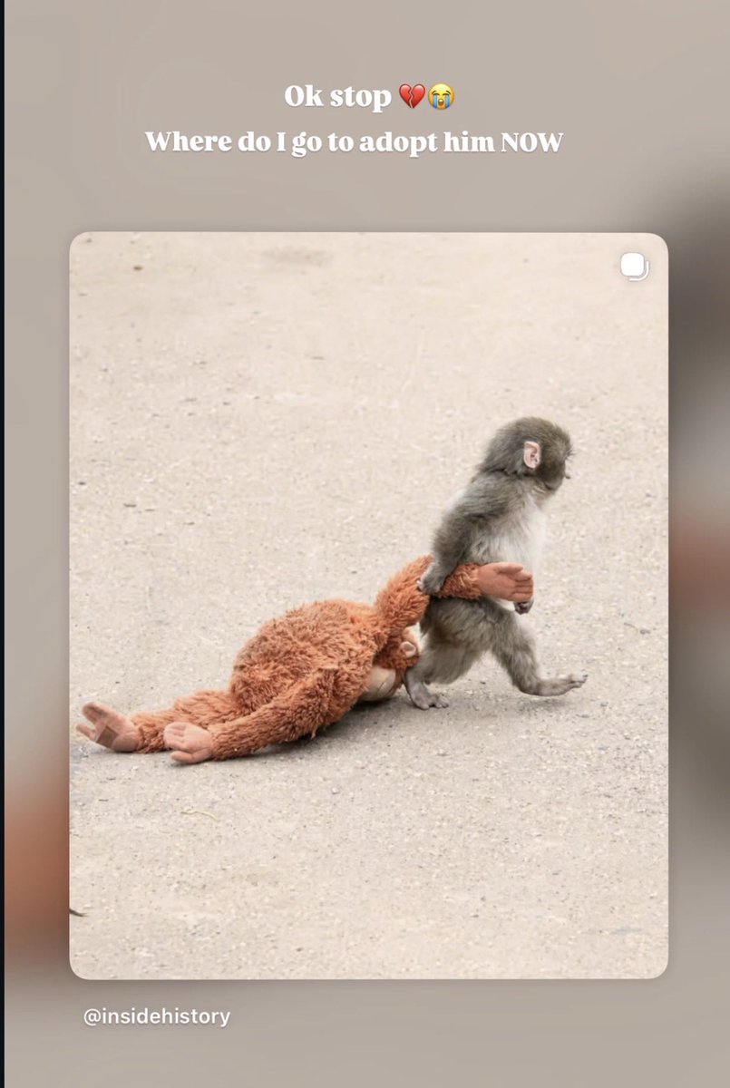 مونات tweet media