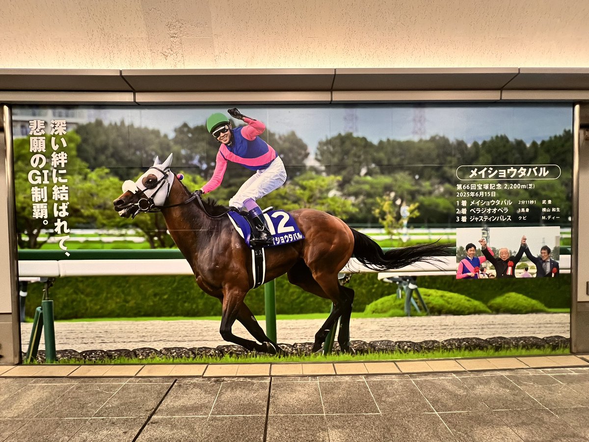 YUKI18723's tweet image. 阪神の地下道に新パネル‼️✨✨

しかもお父ちゃんの隣🥹

#メイショウタバル