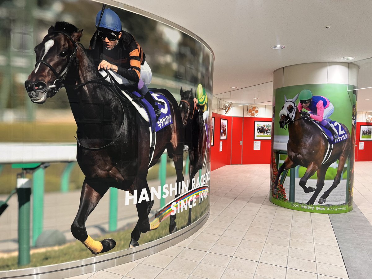 メイショウタバル