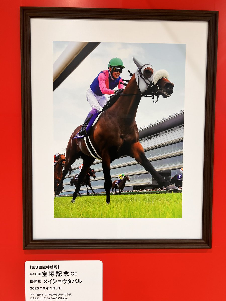 メイショウタバル