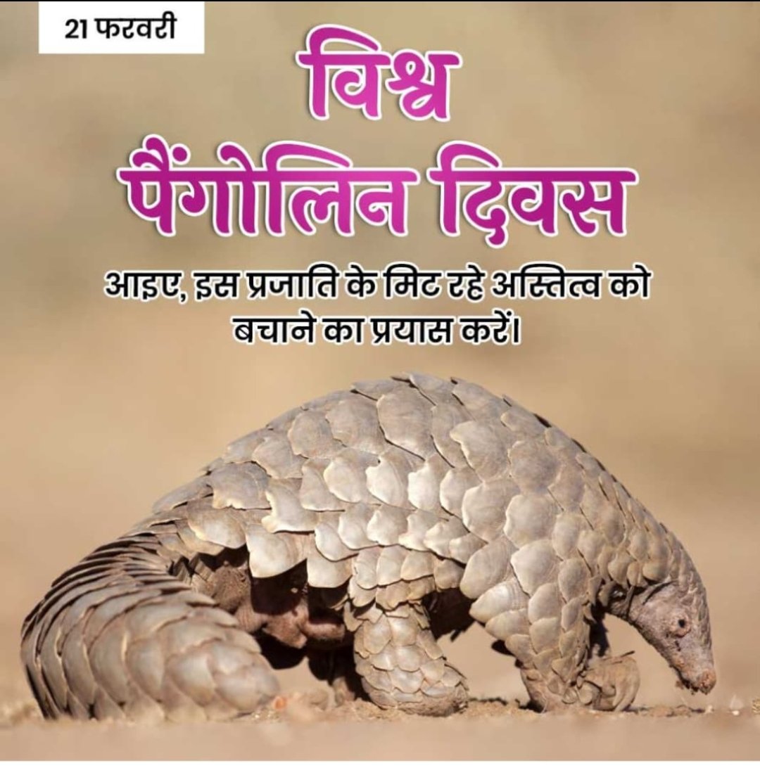 “पैंगोलिन प्रकृति के मूक प्रहरी हैं, जिनका संरक्षण हमारी साझा जिम्मेदारी है।
आइए, अवैध वन्यजीव व्यापार के विरुद्ध जागरूक बनें और प्रकृति की रक्षा करें।”