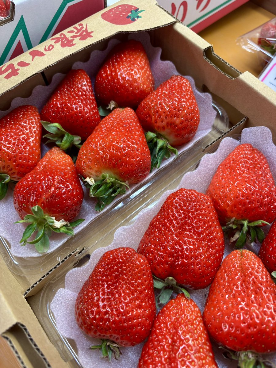 ついにまたこの季節が🥹 🥹🍓🥹🍓🥹🍓