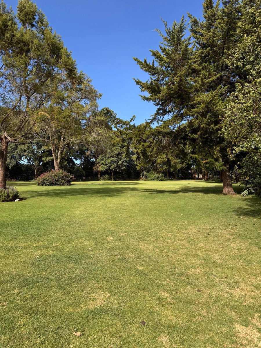 DaviesKinanga's tweet photo. 📍Naishola Gardens, Tigoni Limuru https://t.co/aU0OEx4L43