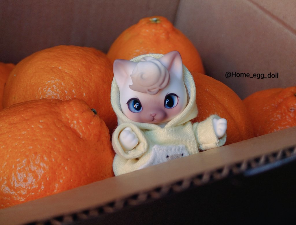 えへへへへ
柑橘好きだから嬉しい✨