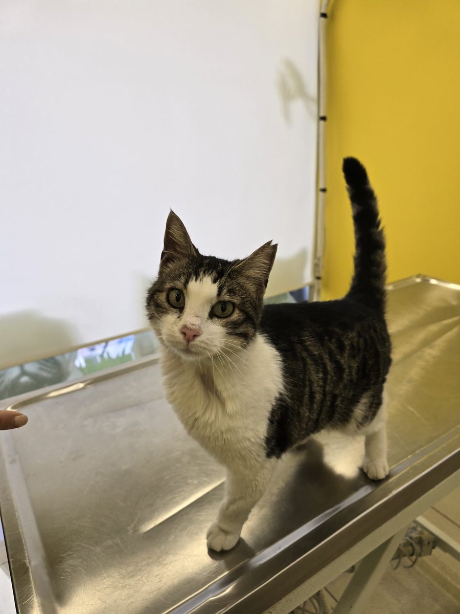 Hiç yuva adayı çıkmadı