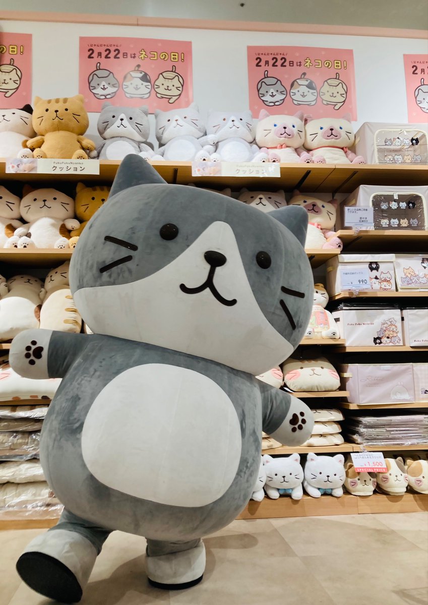 Fuku Fuku Nyanko(ふくふくにゃんこ) (@fukufuku_nyanko) / Posts / X