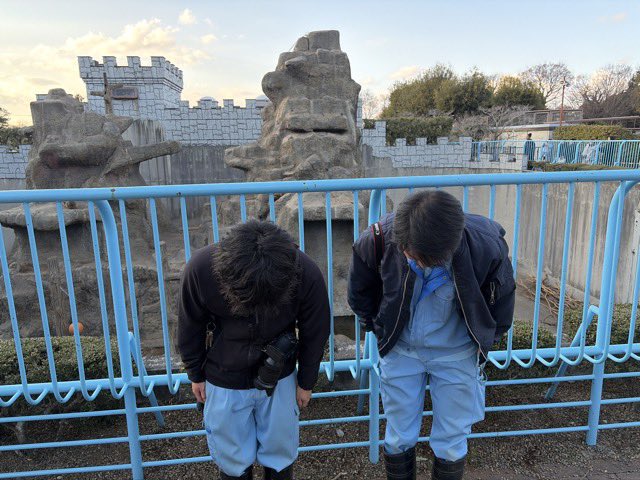 本日はご来園ありがとうございました！
飼育員「今日は夕方に、群れのサルから怒られるシーンがありましたが、特に怪我はありません。パンチは元気ですから心配しないでくださいね」
明日2/22(日)は本日以上の来園者数が予想されます。
明日もよろしくお願いします❗️
#市川市動植物園
#がんばれパンチ