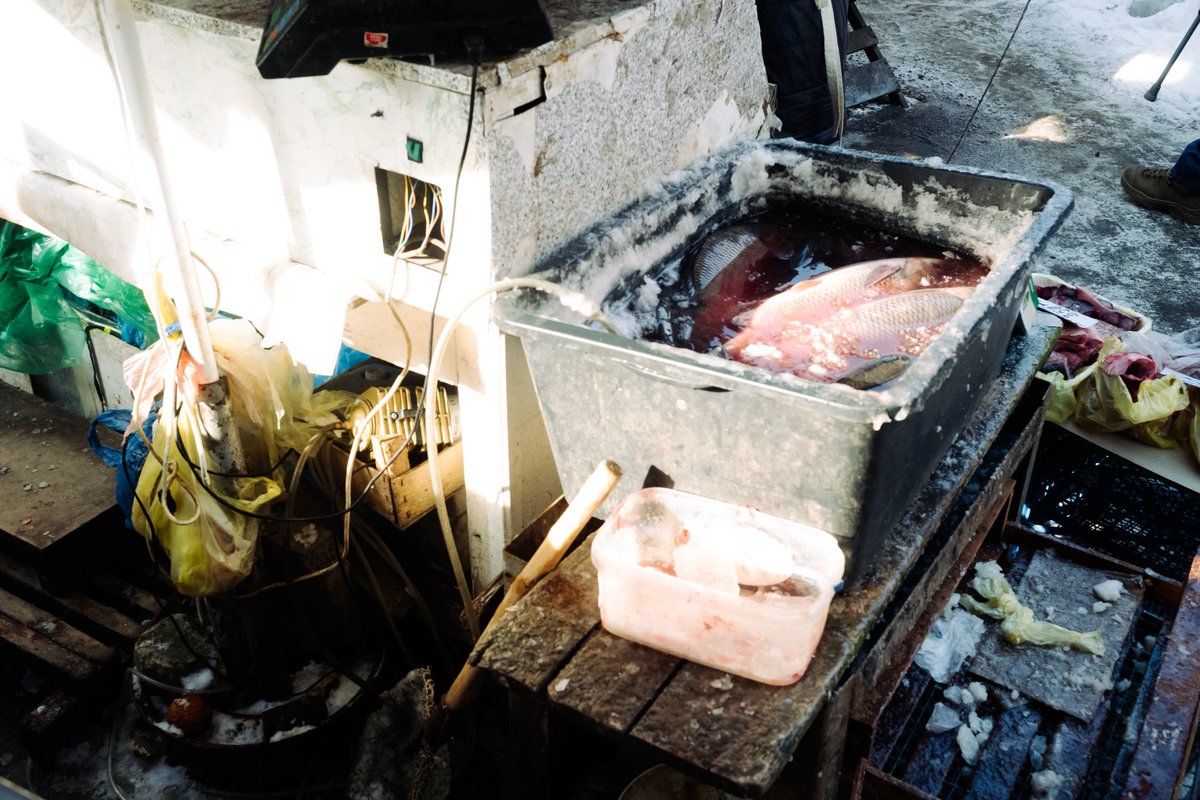 多田 海(Kai Tada) tweet media