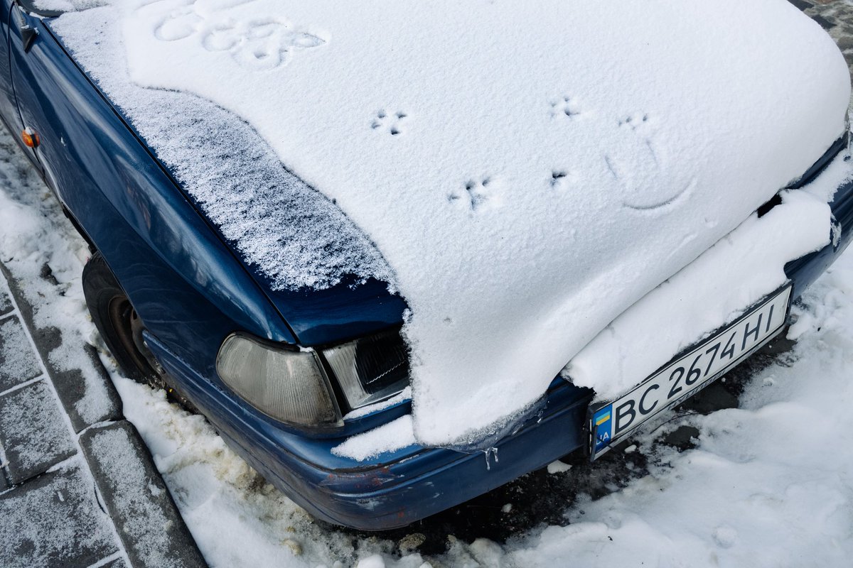 多田 海(Kai Tada) tweet media