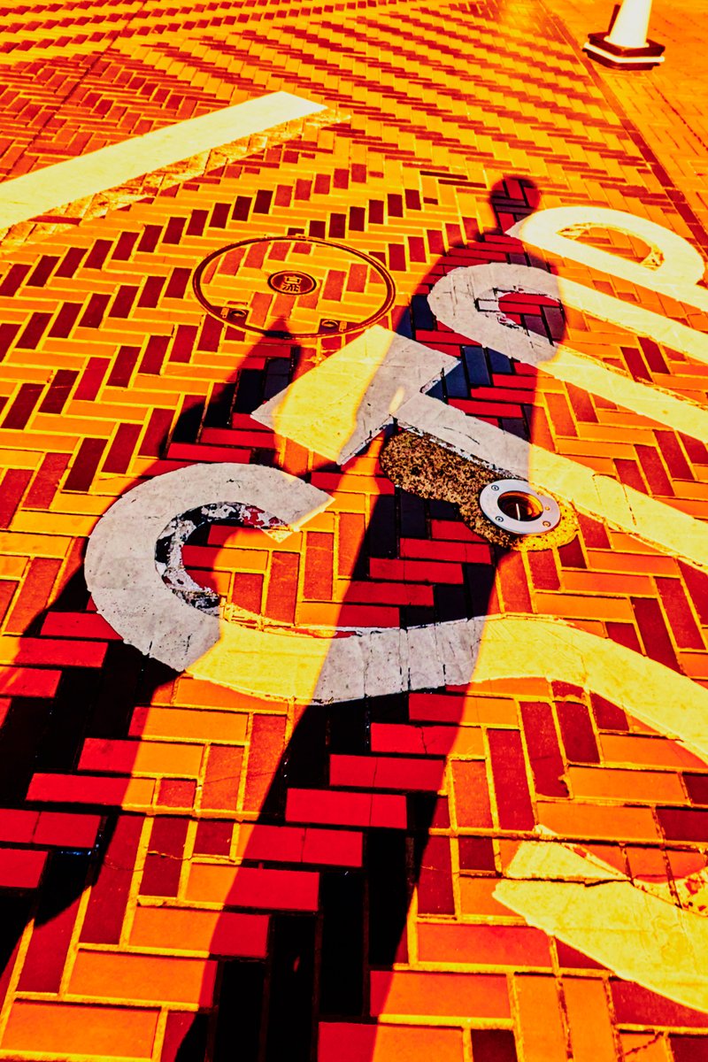 Wataru Nishida 西田航 (@Nishida_Wataru) / Posts / X