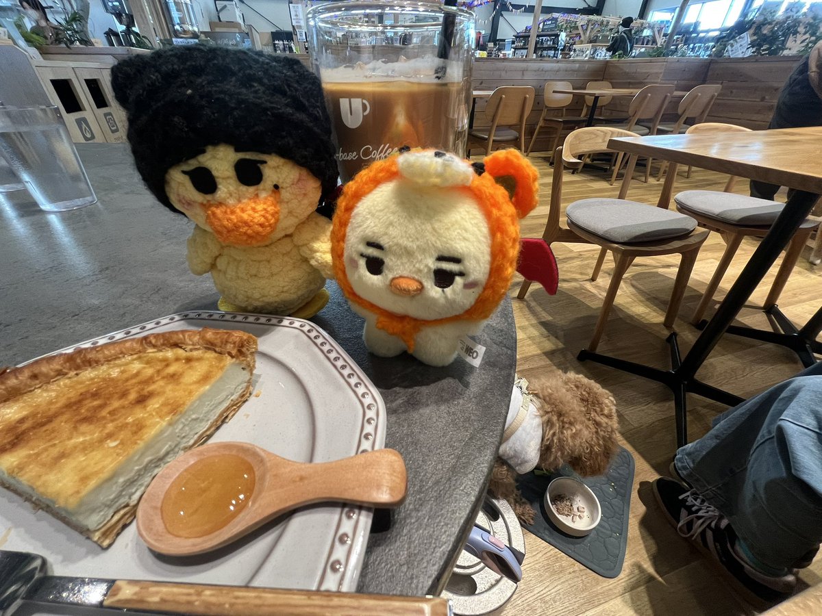 🐥🐶⸒⸒とのんびり𖠚ᐝ
ツアー発表毎日ドキドキ待ってる。月曜辺り来ちゃう？
予定立てるの楽しみだなー。
#NI_KI