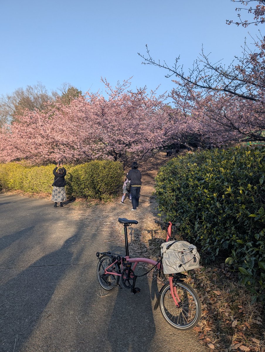 のりりん (@tiny_seed) / Posts / X