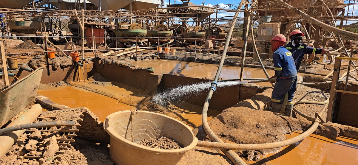 planetGOLD Zimbabwe tweet media