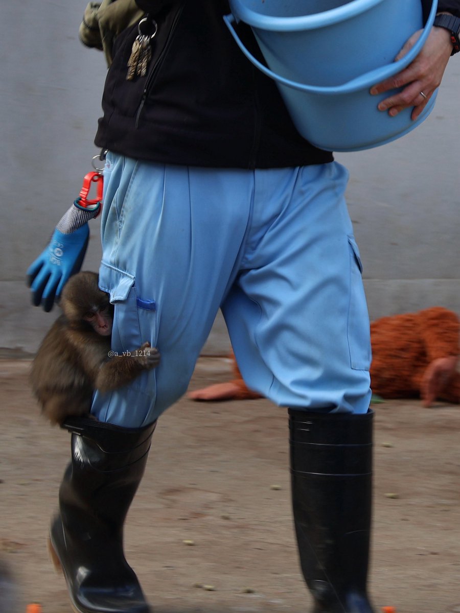 あかりん (@a_vb_1214) / Posts / X