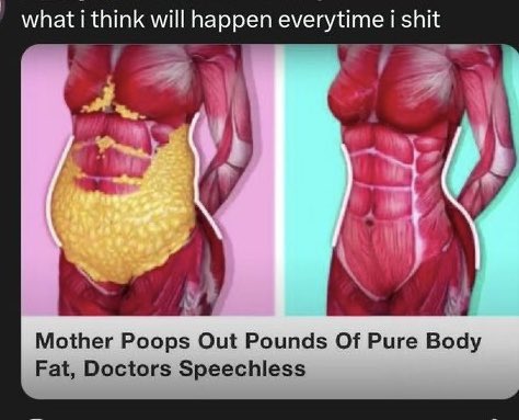 xlalamyla's tweet image. 