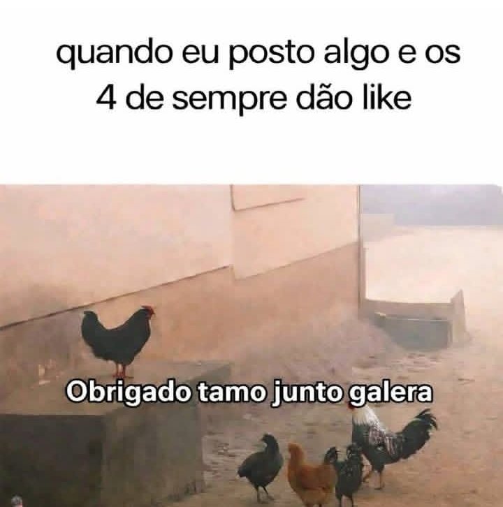 teu caos tweet media