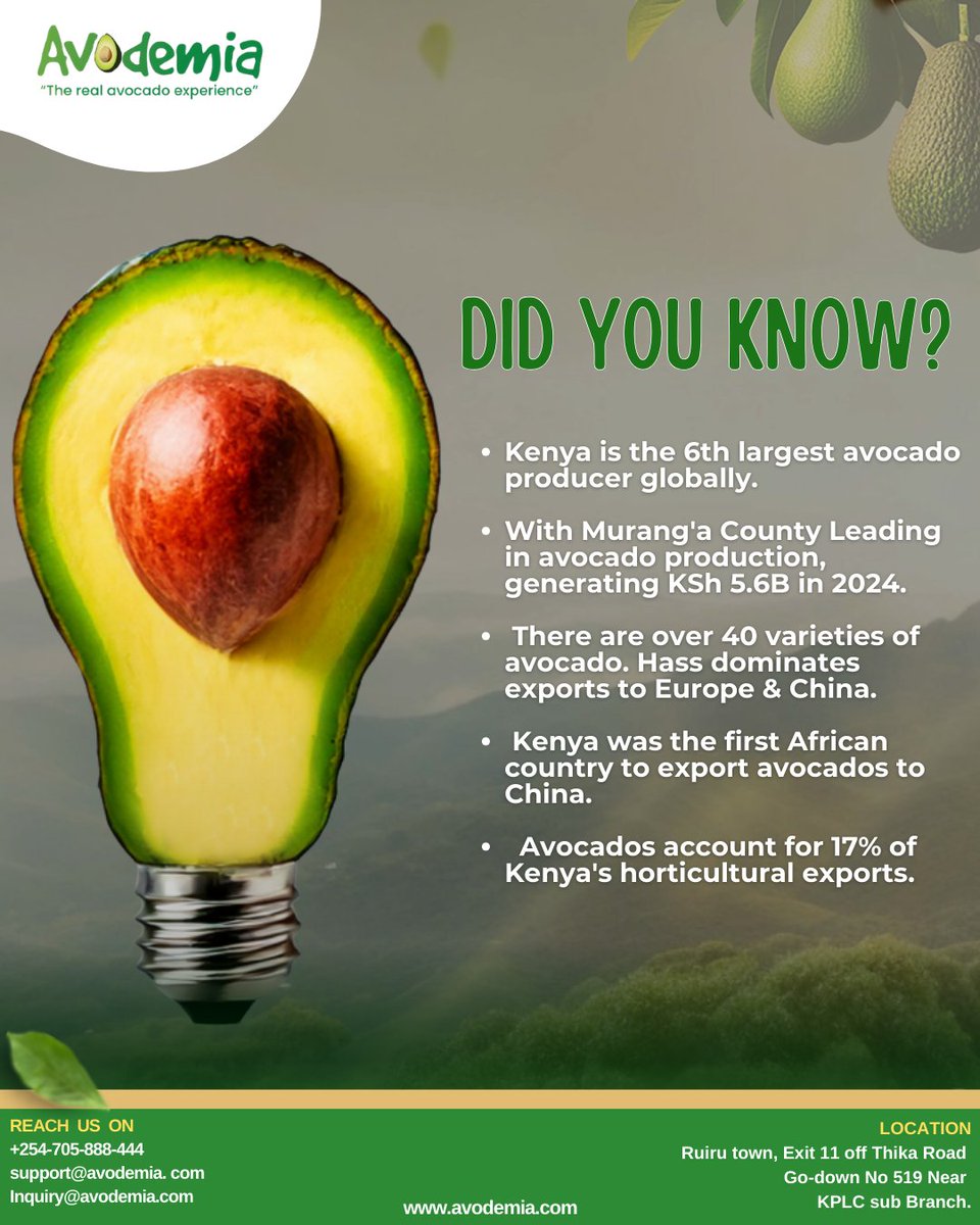 avodemia's tweet photo. 🥑 Growing Together. Trading Globally.
At Avodemia, we bridge farms and global markets by working closely with growers and delivering produce that meets international standards.

📞 Call: +254 705 888 444
📧 Email: support@avodemia.com
| inquiry@avodemia.com https://t.co/RVVSqV9QTE