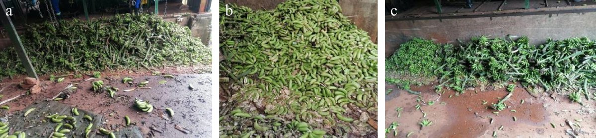 Ecological Agriculture Research tweet media