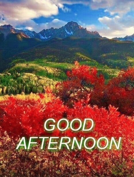 GlobalAddaIN's tweet image. Wishing you a relaxing afternoon and a peaceful rest of the day.
••••••••••••••
Good afternoon 🤝💫
 Stay positive✨
Connect ✅