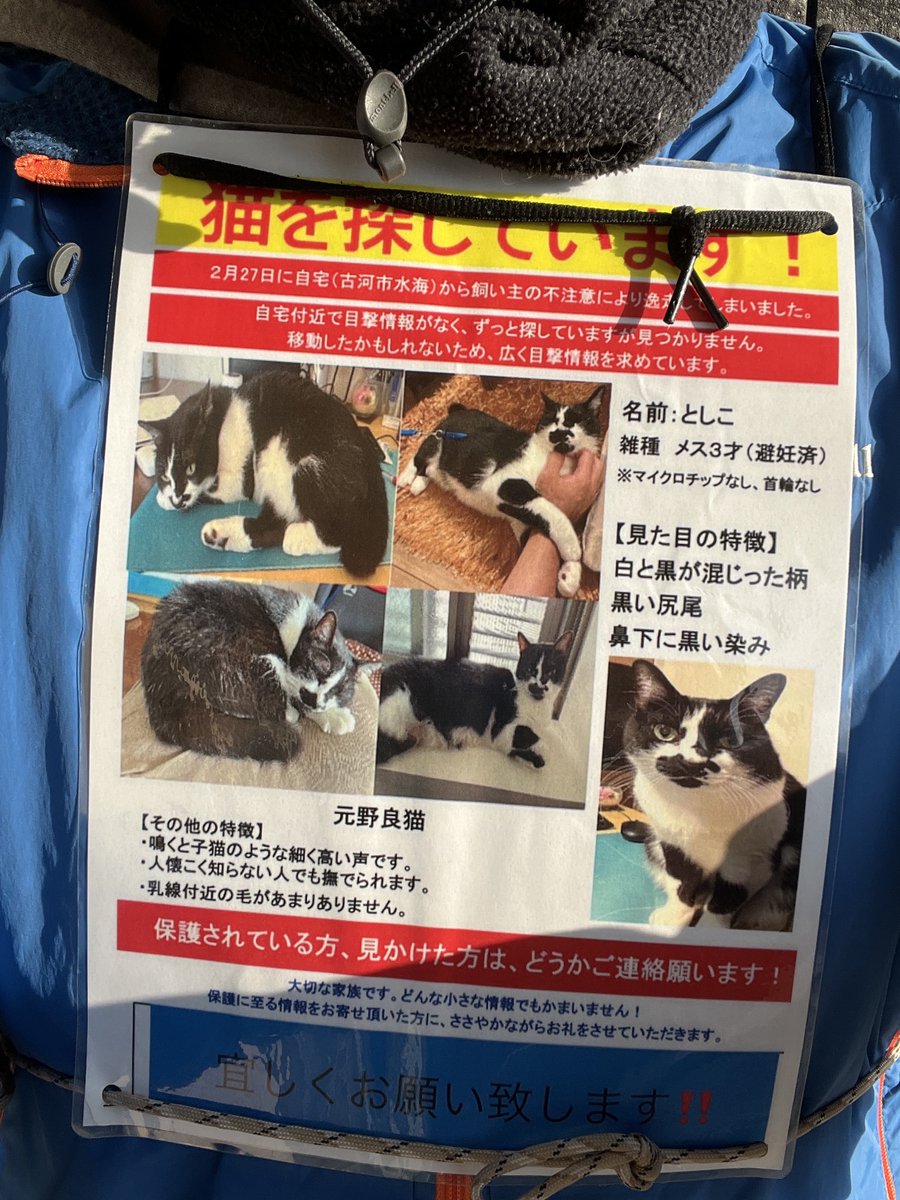 運拾い🗑️🚶✨

ゴミの写メ忘れました😅

皆様、素敵な週末をお過ごしください😺

#ゴミ拾い　#迷子猫　#茨城県　#古河市