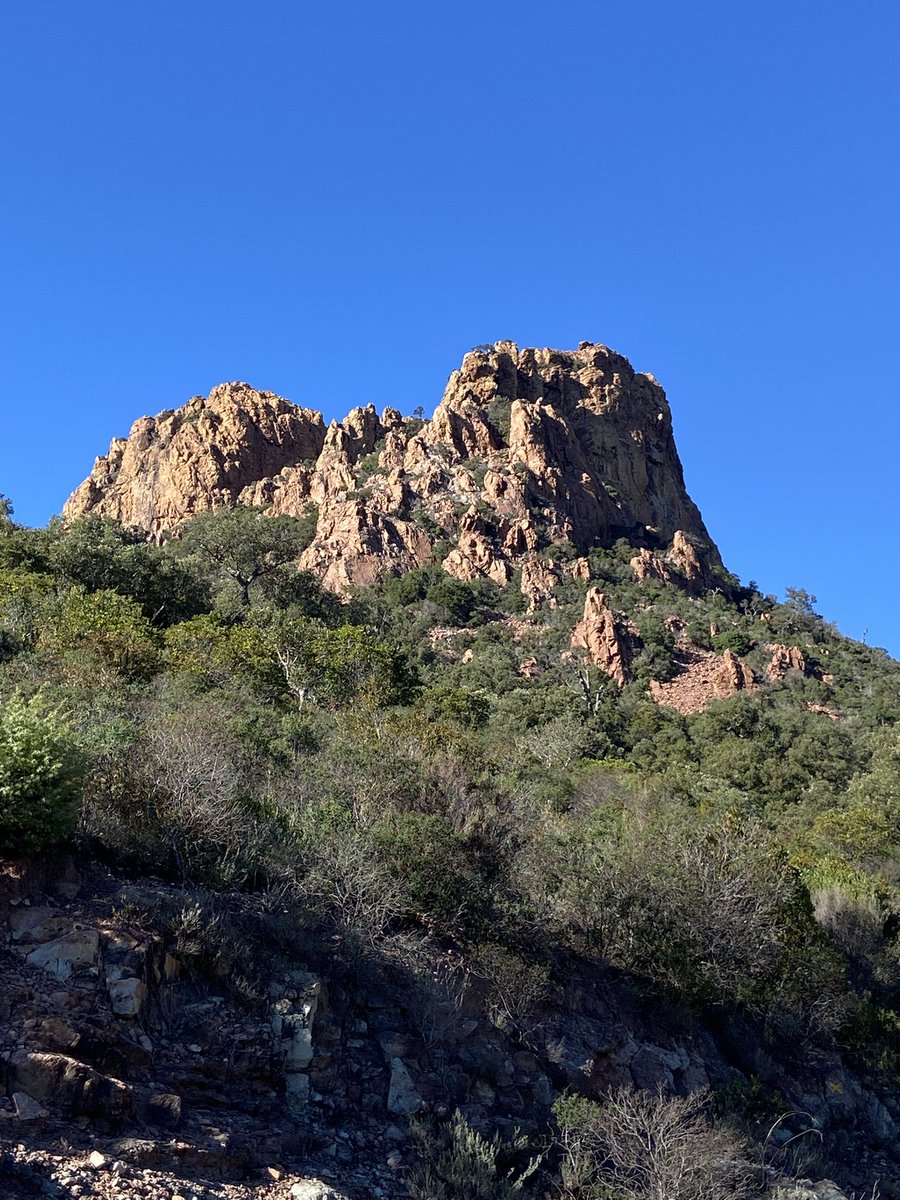 Good Morning Friends