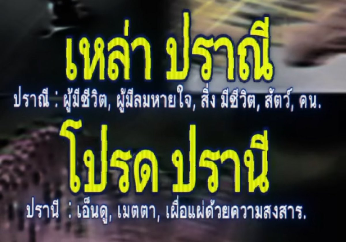 norr (@9lucine) on Twitter photo 