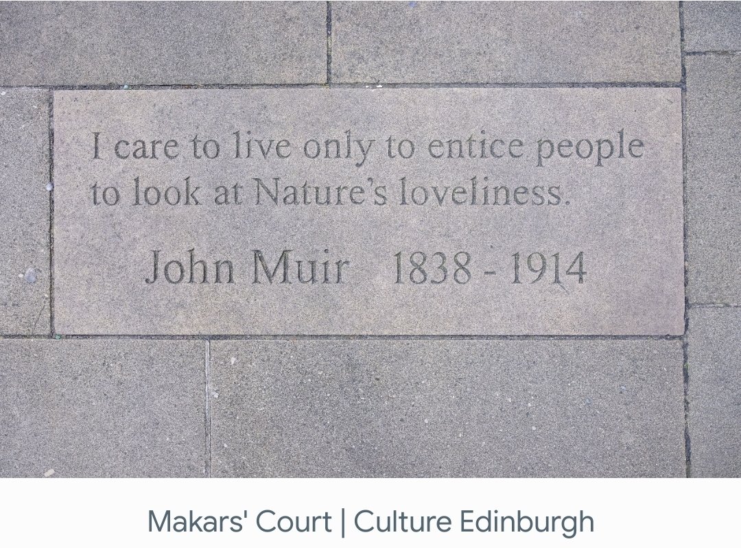 John Muir tweet media