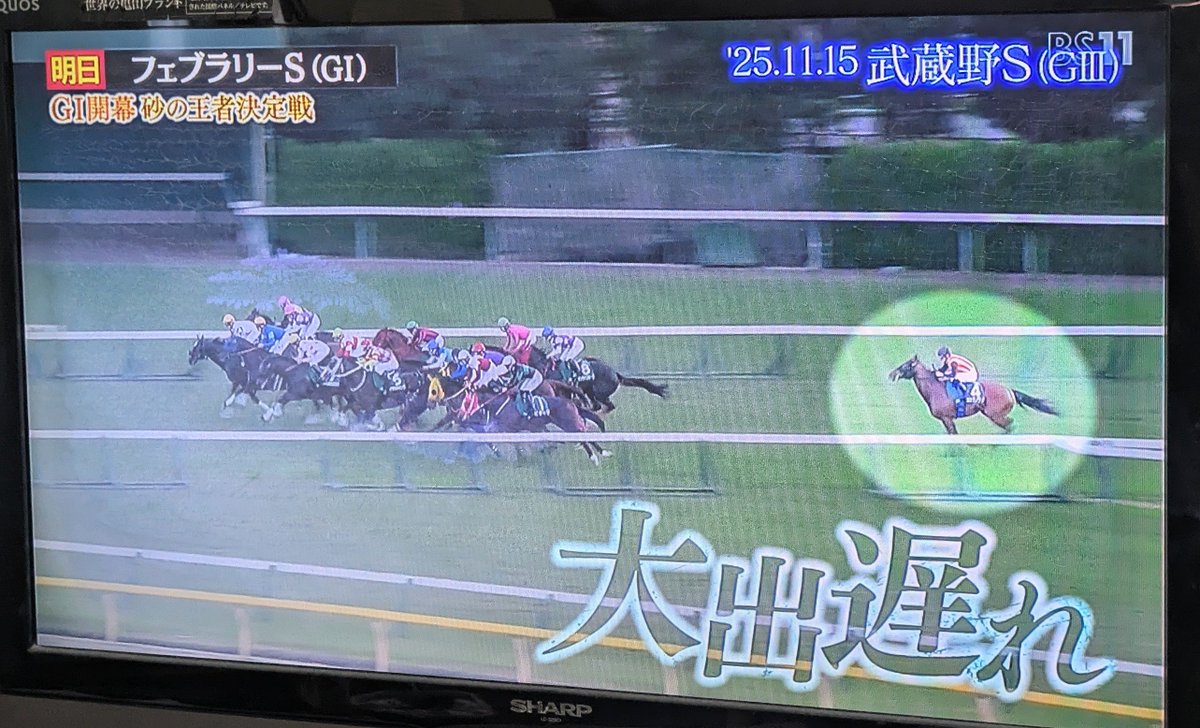 Post by ミルクティー on X: あ、ッス……。