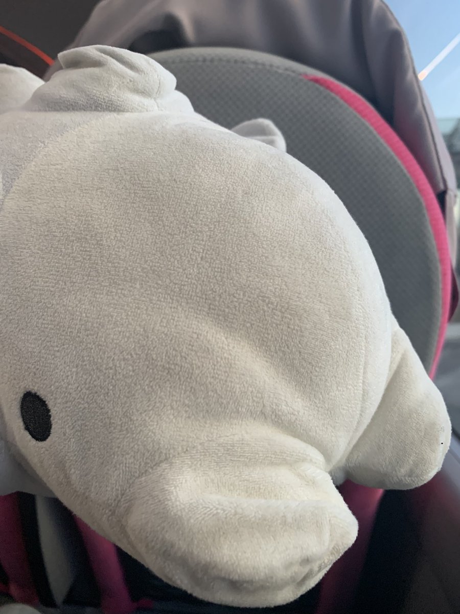 帰りのバス乗れました〜！
今日はヤコバが高すぎたのでこの時間のバスで帰りますw

今日はいつもと違う雰囲気だったけどりこちゃんは世界一かわいかったね...だるまちゃん...
久しぶりに会えて世界一かわいい笑顔見れてめちゃくちゃ元気もらえたね...

マジで会いに来れて良かった...