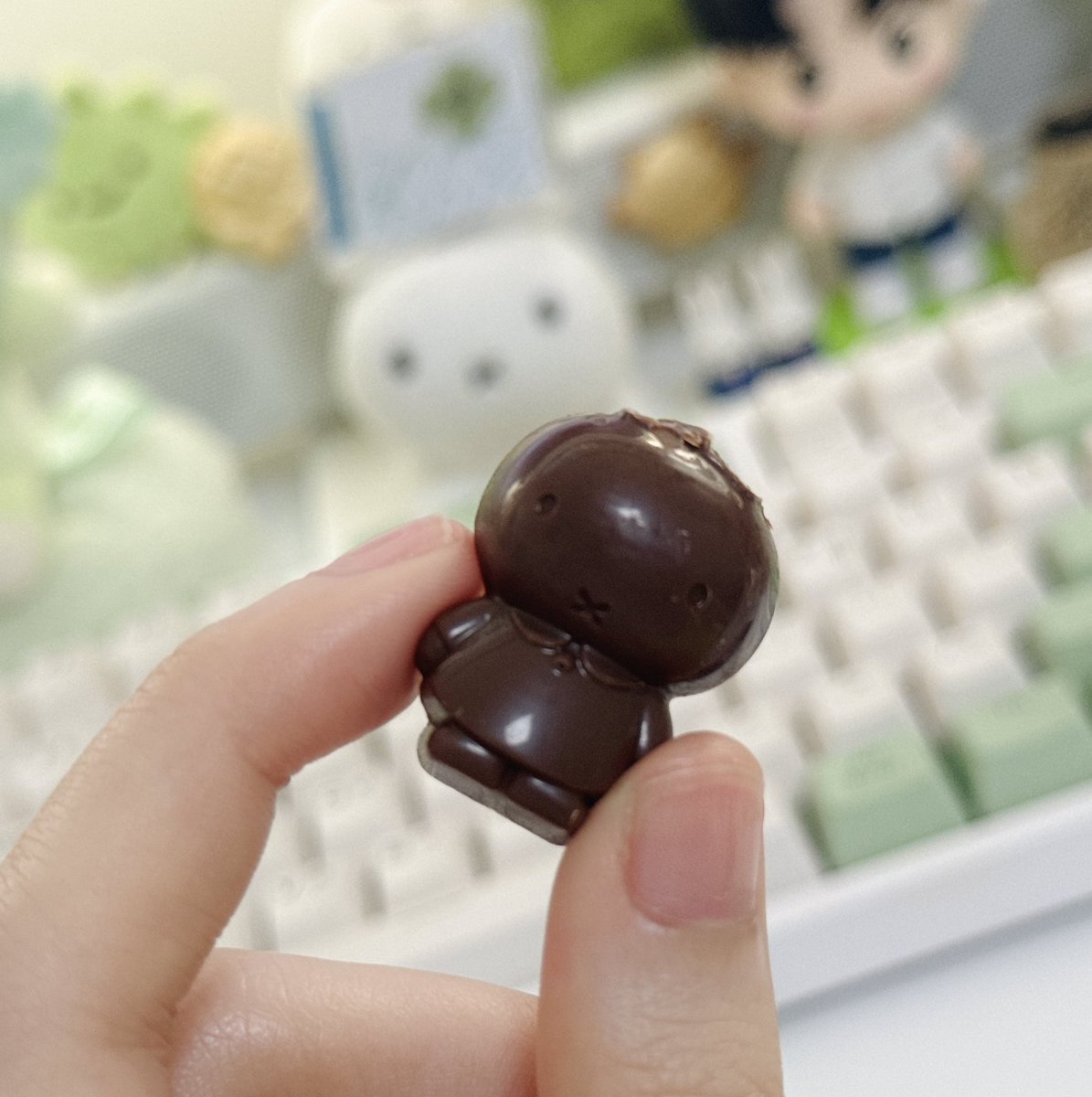 초콜릿 한입 했더니 군대 간 토끼됨