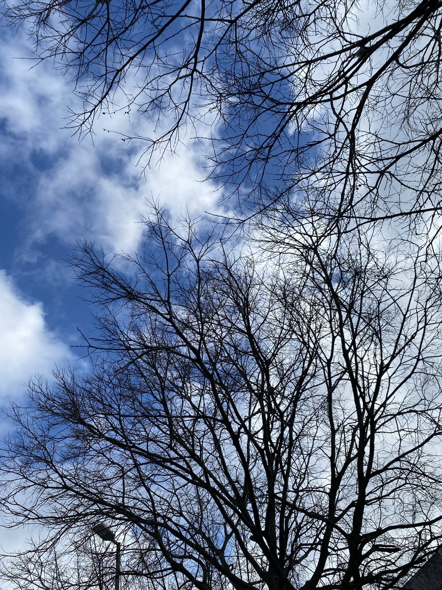 Fırat BAYTAK tweet media