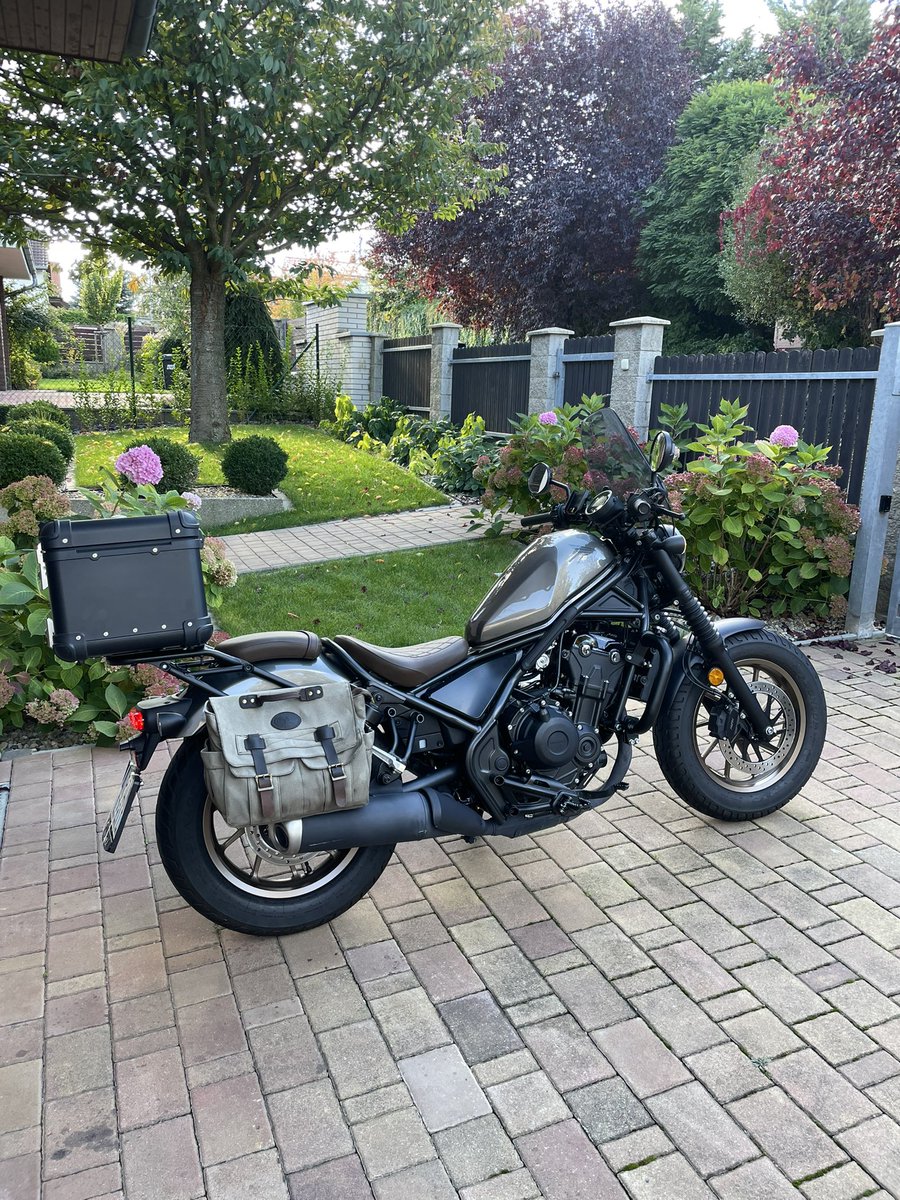 Peter Wild tweet media