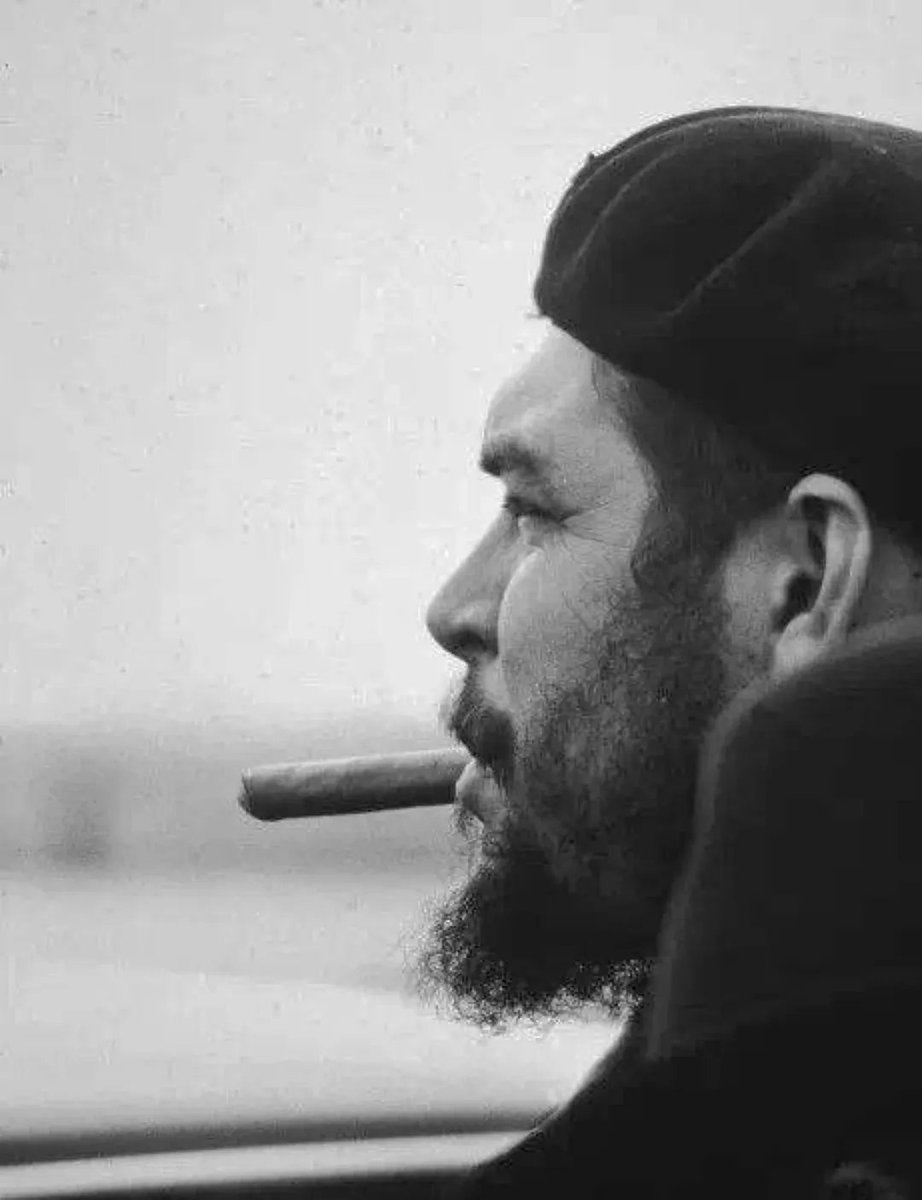 ultras_antifaa's tweet image. ❝The future belongs to the people, and step by step or in a single blow, they will take power, here and throughout the world.❞

— Che Guevara