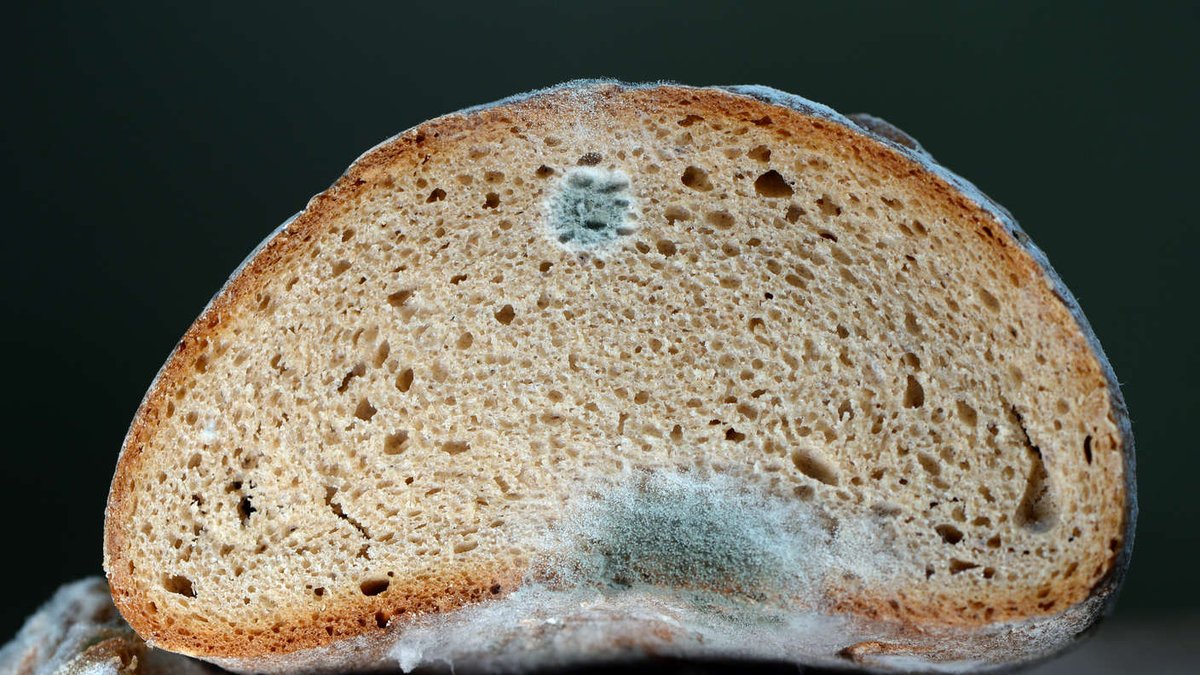 Tom de Belfore tweet media