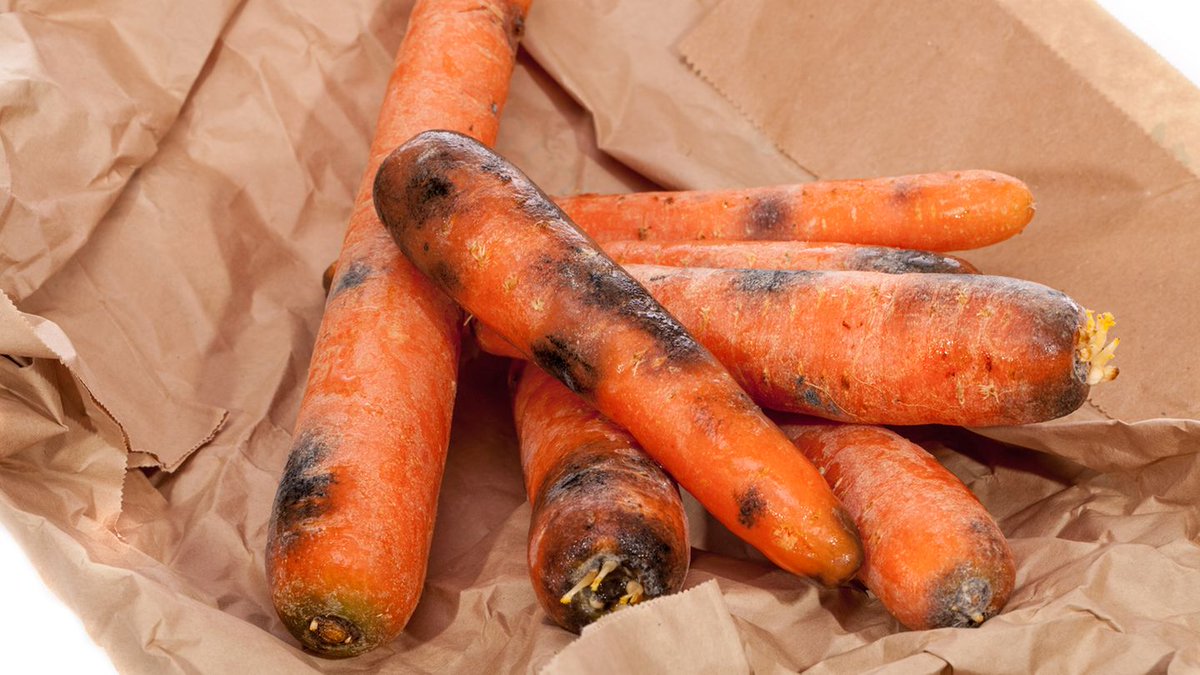 Tom de Belfore tweet media