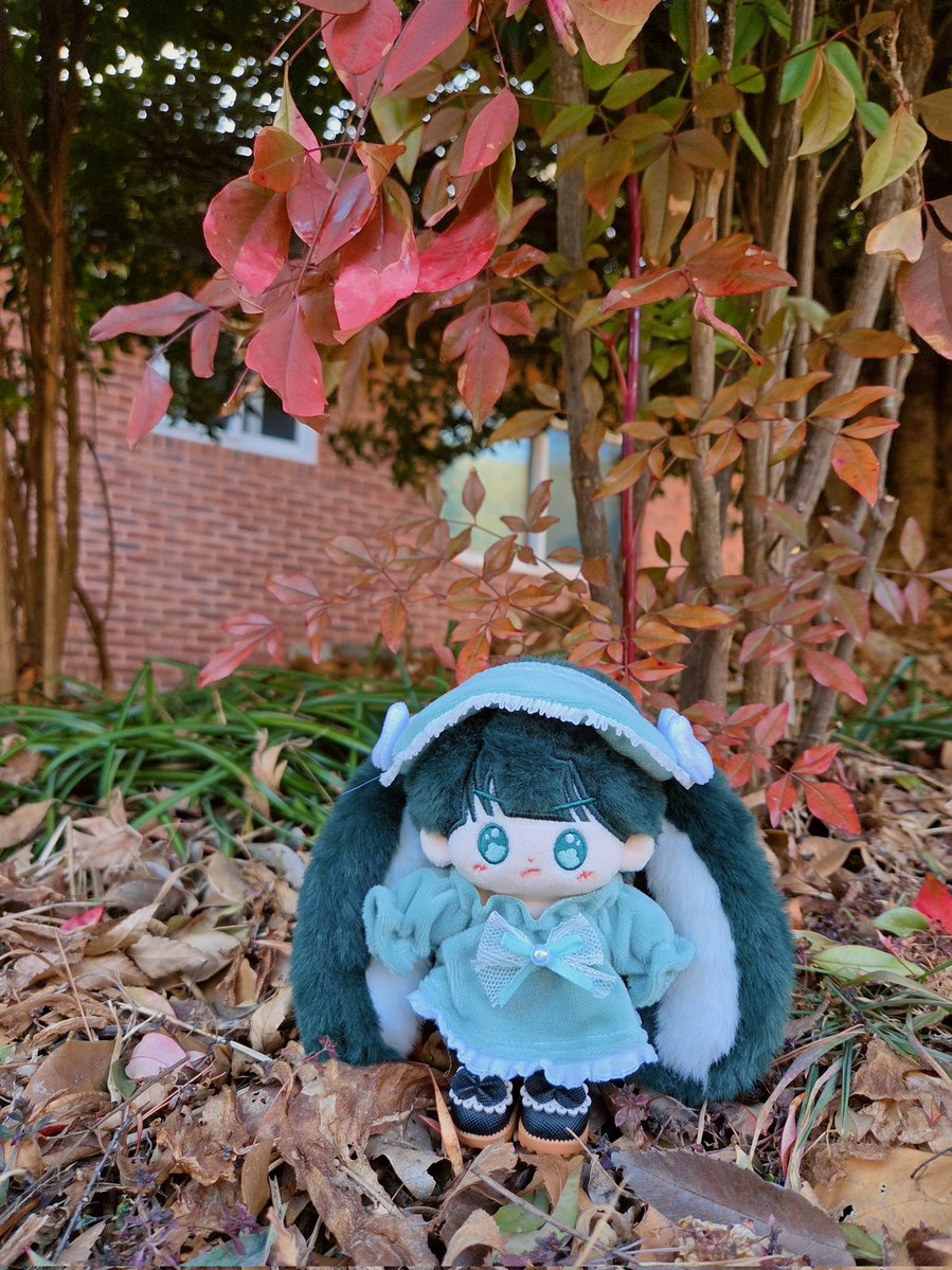 삐딱공주님 화보찍는다묭💚

#밍맹묭
#삐딱포리
👗 <a href="/bori_mill28292/">밀과 보리</a>