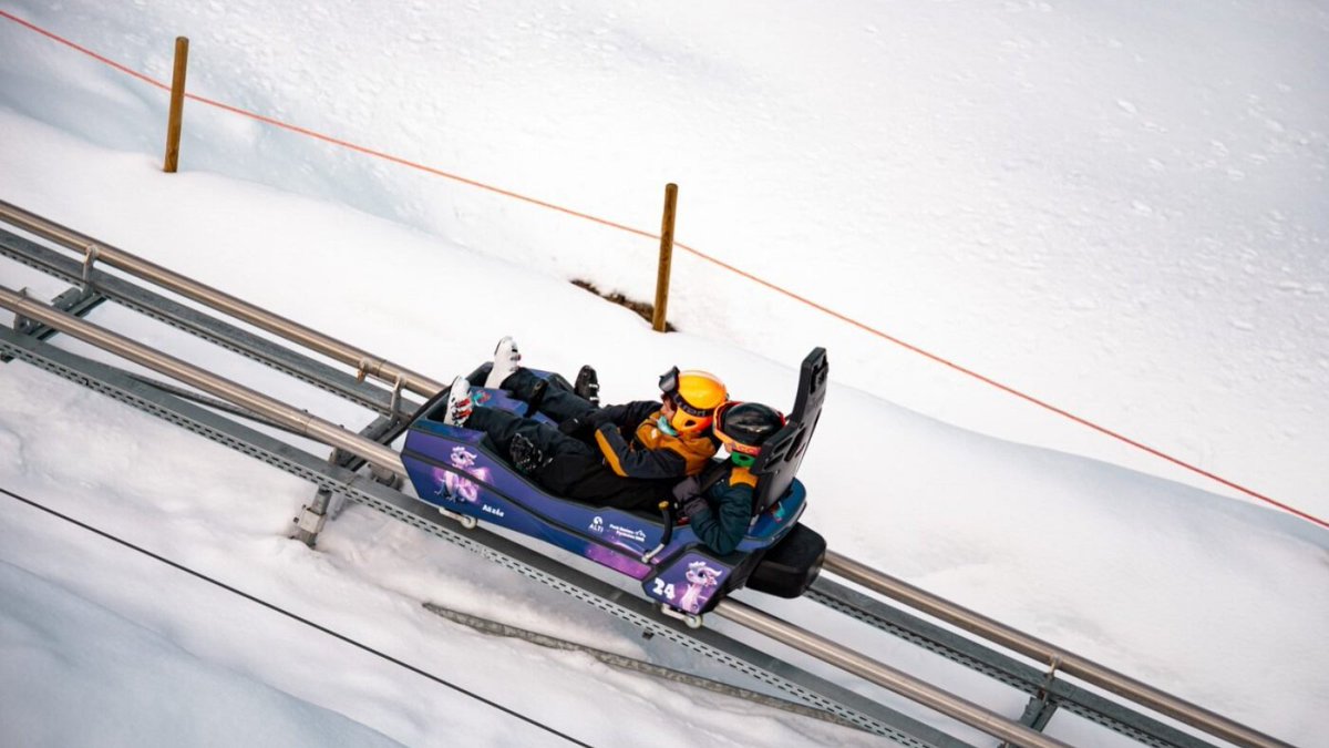 ❄Altiservice ⛷🏂 tweet media